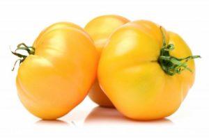 คำอธิบายพันธุ์มะเขือเทศผลใหญ่ Lemon Giant และคำแนะนำการปลูก