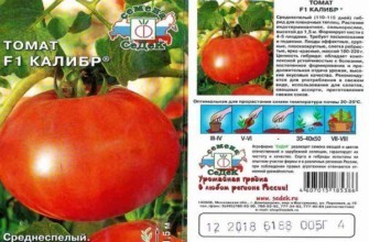 ลักษณะของมะเขือเทศ