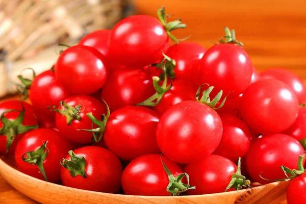 มะเขือเทศเชอร์รี่