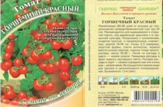 ลักษณะของมะเขือเทศ