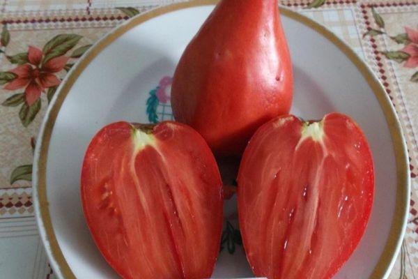 Fruits de tomate