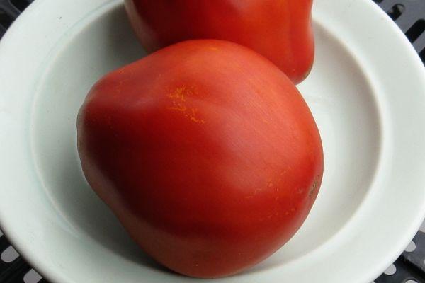 Tomates poires