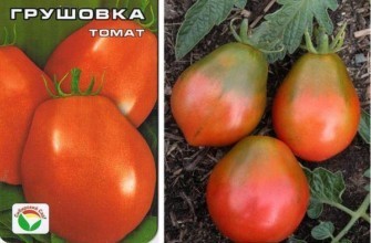 มะเขือเทศลูกแพร์