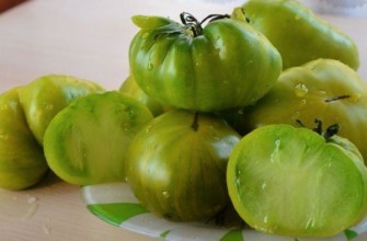 มะเขือเทศสีเขียว