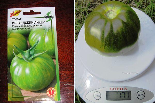 การชั่งน้ำหนักมะเขือเทศ