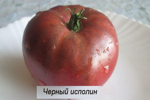 ยักษ์ดำ