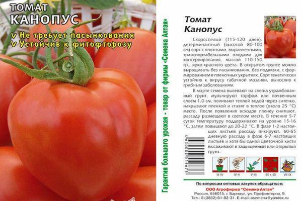 Description de la tomate
