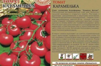 คำอธิบายของไฮบริด