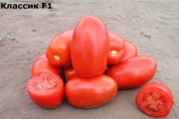 Tomates classiques