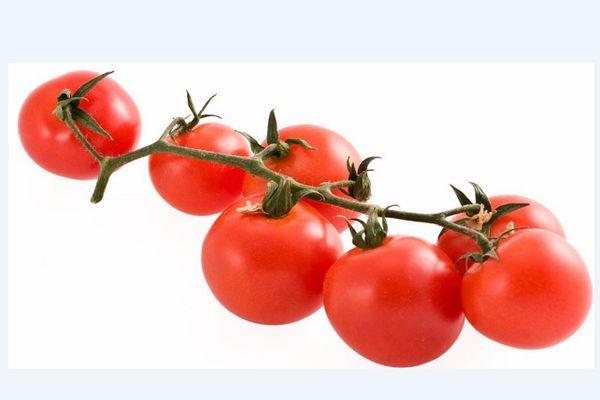 Tomates Kostroma