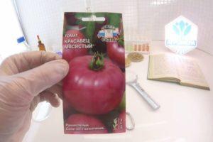 คำอธิบายของมะเขือเทศ "Krasavets Meaty" ข้อดีและข้อเสีย