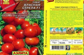 Mô tả về cà chua