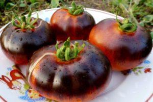 คำอธิบายเกี่ยวกับมะเขือเทศ Red Coal และการปลูกโดยใช้ต้นกล้า