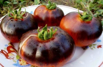 มะเขือเทศบนจาน