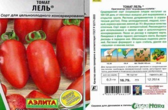 ลักษณะของมะเขือเทศ