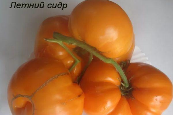 Une brosse de tomates