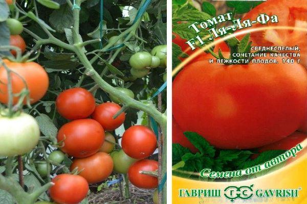 Tomates hybrides