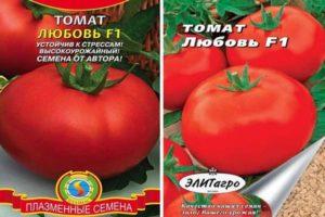 Description de la tomate Lyubov f1 et conseils pour la cultiver soi-même