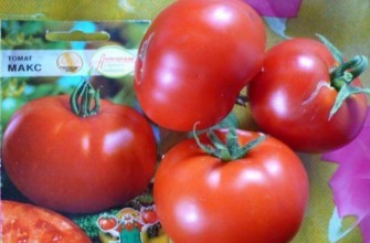 มะเขือเทศแม็กซ์