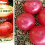 มะเขือเทศสีชมพู