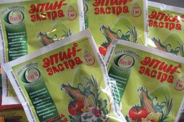 เอปิน เอ็กซ์ตร้า