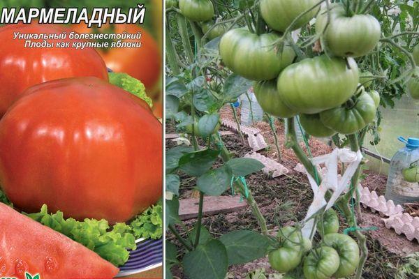 Tomates à la marmelade