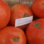 มะเขือเทศขนาดใหญ่