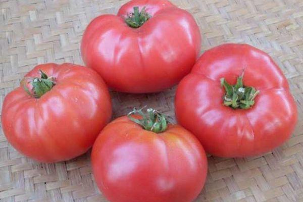 Quatre tomates