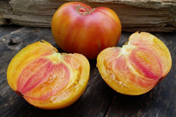 มะเขือเทศสีเหลือง