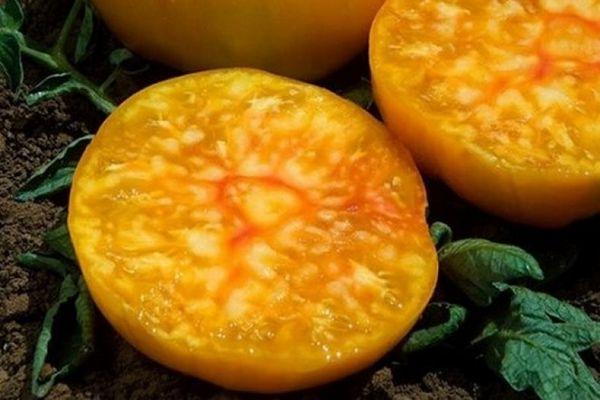 เนื้อมะเขือเทศ