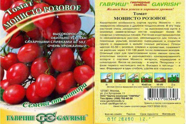 พิงค์โมนิสโต