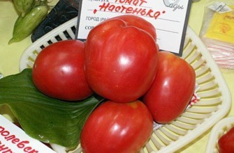 มะเขือเทศสุก