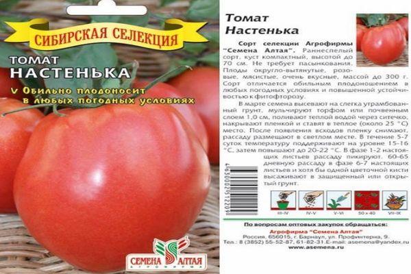 ลักษณะของมะเขือเทศ