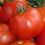 มะเขือเทศของปาโบล