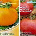 พันธุ์มะเขือเทศ