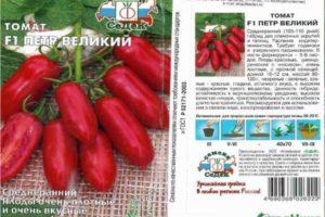 คำอธิบายมะเขือเทศ Peter the Great F1 ข้อมูลทางเทคนิคและคำแนะนำในการปลูก