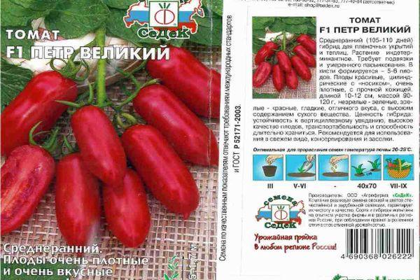 ลักษณะของมะเขือเทศ