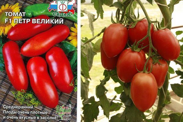 มะเขือเทศผลยาว