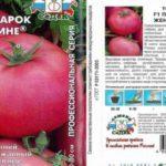 ลักษณะของมะเขือเทศ