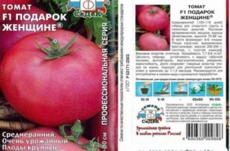 ลักษณะของมะเขือเทศ