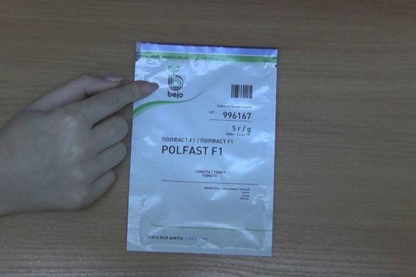 เมล็ดมะเขือเทศ