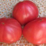 มะเขือเทศสามลูก