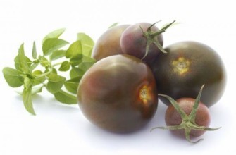 มะขามดำ