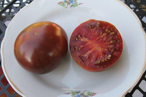 pulpe de tomate