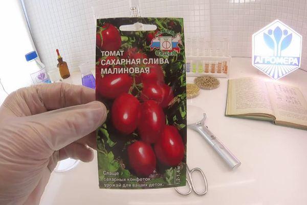 เมล็ดพันธุ์หนึ่งแพ็ค