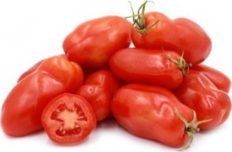 ผลมะเขือเทศ