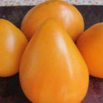 มะเขือเทศสีเหลือง