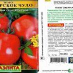 ลักษณะของมะเขือเทศ