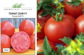 มะเขือเทศสกิฟ