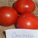 Tomates bouvreuil
